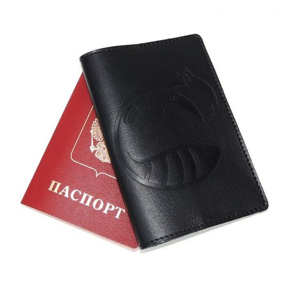 прописка в Малой Вишере
